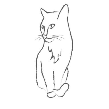 Oturma gurur şirin kedi. Beyaz bir arka plan üzerinde vektör kroki