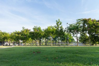 Park Bahçe peyzaj