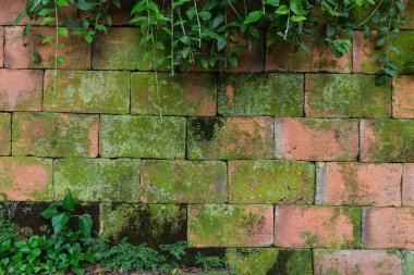 eski kırmızı tuğla duvar 