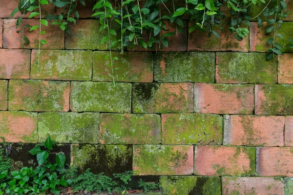 eski kırmızı tuğla duvar 