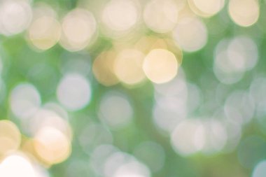 Yaprak ağacından doğal bokeh