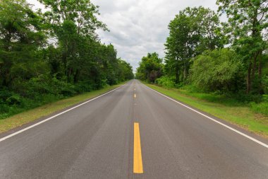  yol düz yalak orman kesme