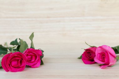 Sevgililer günü, romantik arka plan içinde pembe Gül