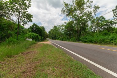  yol düz yalak orman kesme