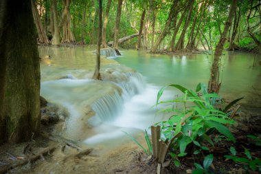 Huay Mae Kamin şelale Ulusal Par, ormandaki şelale