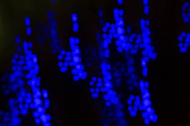 Festival ışıkların bulanık görüntü