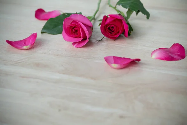 Róż w Walentynki, romantyczny tło — Zdjęcie stockowe