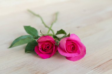 Sevgililer günü, romantik arka plan içinde pembe Gül