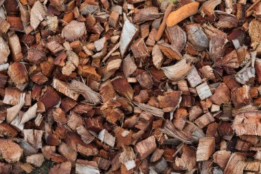 Bitki gr için kurutulmuş kahverengi hindistan cevizi coir kabuk arka plan closeup