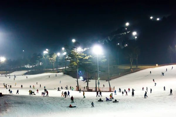 People playing ski. — Stock Photo, Image