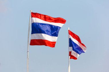 İki Tay bayrak sallayarak.