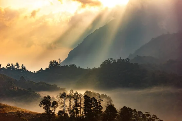 Nevoeiro de manhã na montanha . Imagem De Stock