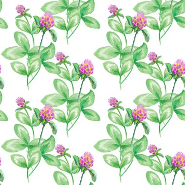 seamless pattern Summer meadow flowers , clover flowers. Seamless pattern of clover. Flowers background, watercolor composition. Decoration with blooming clover. Watercolor hand drawn illustration. clipart