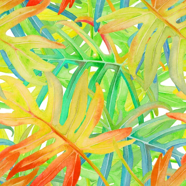 Tropische Blätter, Pflanzen vor wildem Dschungel-Hintergrund. Blumen nahtlose Patten aus rot, grün, blau, Blatt und Blättern. Laub der Strelizia auf geometrischem Ornament — Stockfoto
