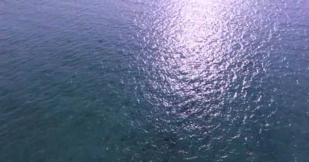 Kitesurfen op tropisch eiland. Luchtfoto uitzicht: kitesurfer zee renner rijdt op hoge snelheid. Travel concept. Thailand, Phuket. 4k video — Stockvideo