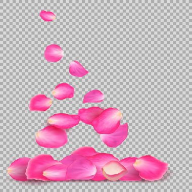 Abstract background with realistic flying pink rose petals on a white transparentt background. Vector illustration. EPS 10. clipart