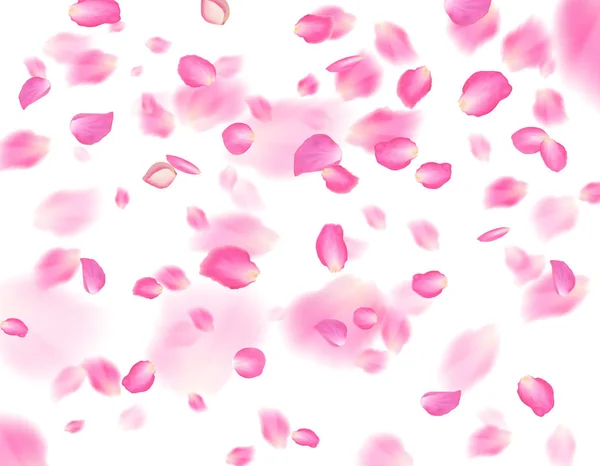 Fondo pétalos de sakura rosa. Muchos pétalos cayendo sobre fondo blanco. Plantilla de primavera vectorial . — Archivo Imágenes Vectoriales