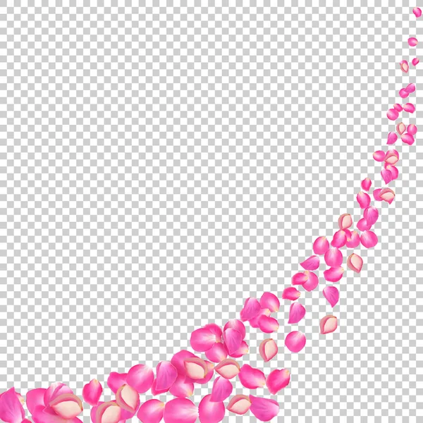 Parti avec les pétales de rose des vents. Vecteur réaliste pétales roses sur fond transparent . — Image vectorielle