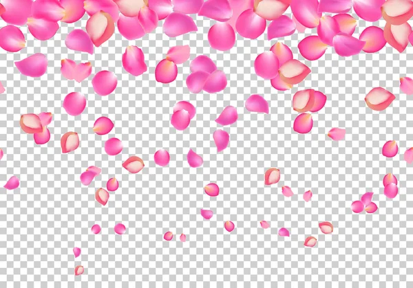 Vector falling rose pink petals. Floral background — Stock Vector