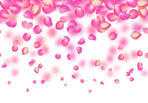 Wektor spadające płatki rose różowy. Tle kwiatów — Wektor stockowy