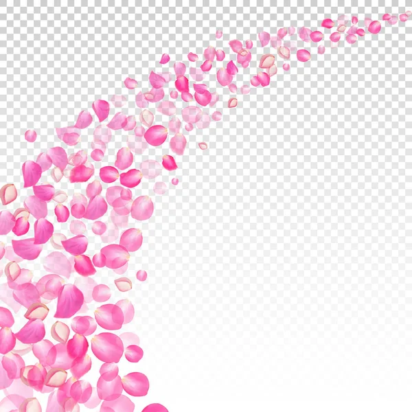 바람 장미 꽃잎과 함께 갔다. 투명 한 배경에서 현실적인 벡터 핑크 꽃잎. — 스톡 벡터