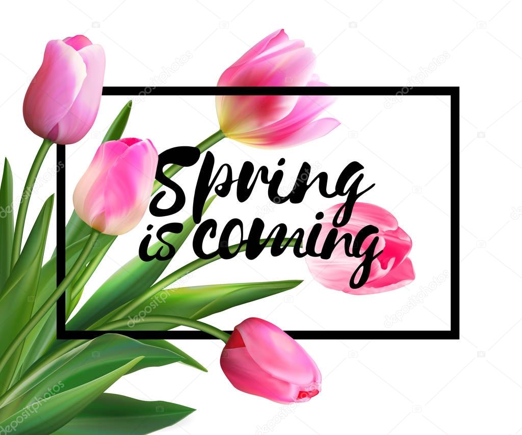 Spring is coming tulips flowers background with lettering. Vector EPS 10.