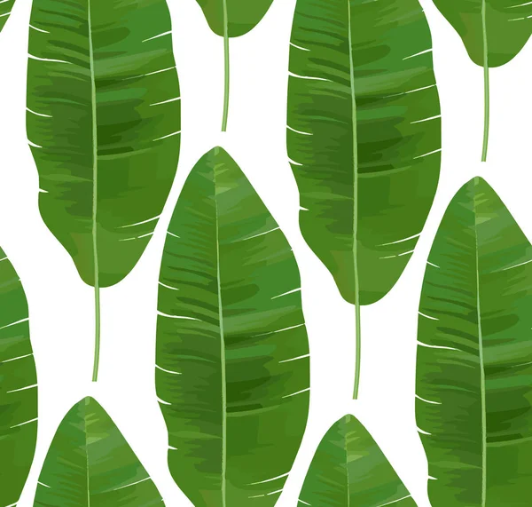 Patrón tropical sin costuras con hojas de plátano. Ilustración vectorial . — Vector de stock