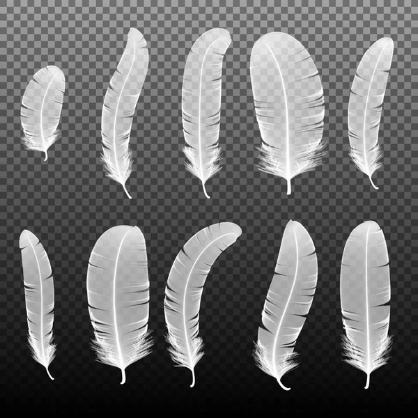 Set of various white bird feathers on a black background. Collection 3d realistic style soft fluffy macro swan vector illustration. Pen for handwriting — Stock Vector