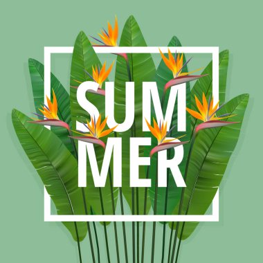 Yaz tipografik arka plan tropik bitkiler ve çiçekler ile. Vektör.