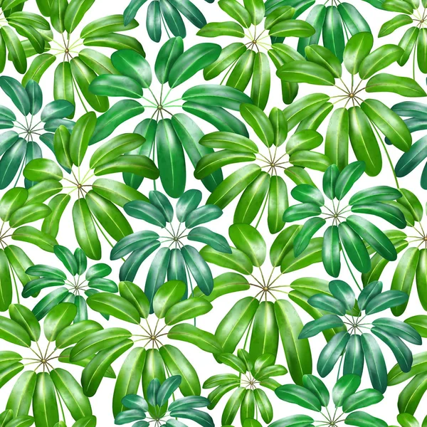 Nahtlose florale Natur Hintergrundmuster mit exotischen Blättern. Vektorillustration. — Stockvektor
