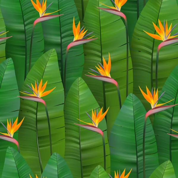 Seamless tropical pattern with strelitzia. Vector illustration. Realistic tropical plants and flowers seamless background. — Stock Vector