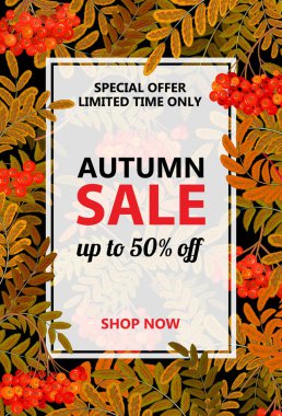 Yazıtlar ve el çizim sonbahar kırmızı rowan, vektör çizim ile mevsimlik sonbahar Satılık Dikey afiş