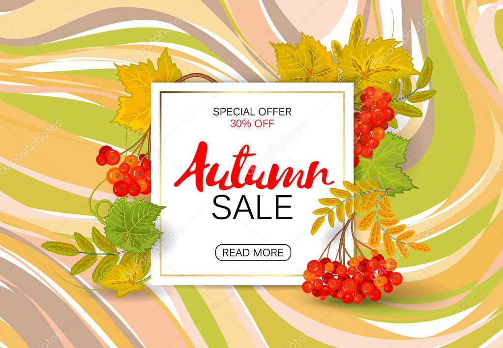 Autumn sale background with colorful autumn leaves and a rowan on marble backdrop. Vector.