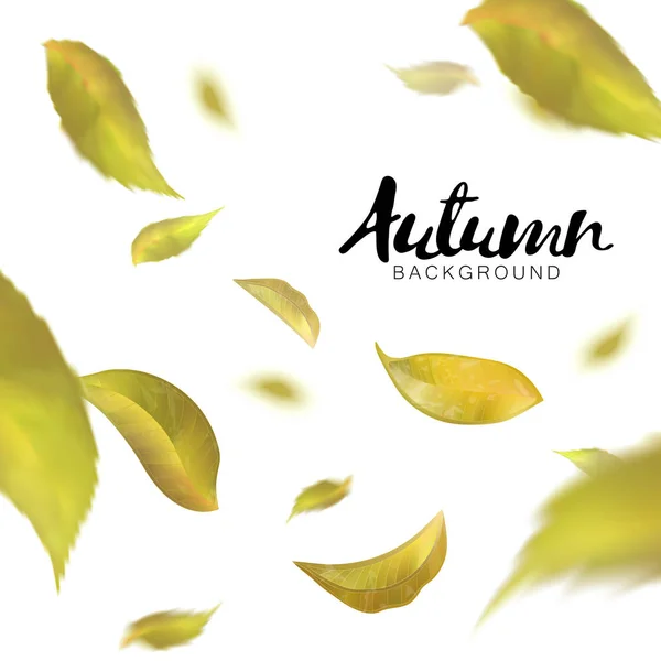 Fallende Herbstblätter auf weißem Hintergrund. Vektor — Stockvektor