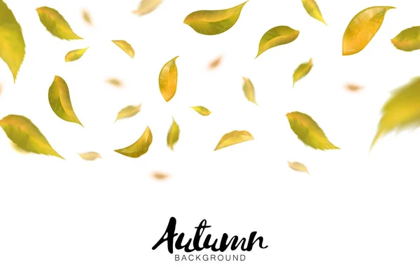 Fallende Herbstblätter auf weißem Hintergrund. Vektor — Stockvektor
