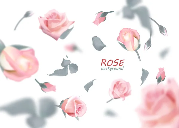 Les bourgeons de roses doucement roses volent dans un tourbillon. vecteur réaliste de qualité, 3D — Image vectorielle