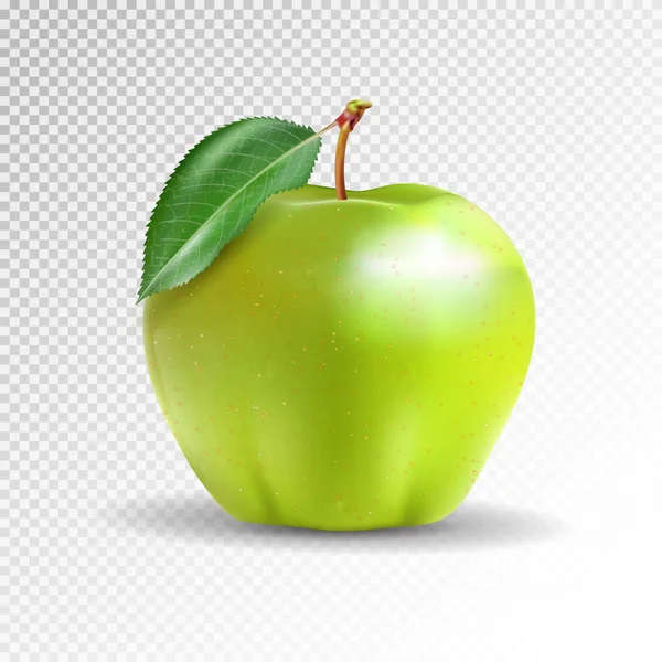 Perfeito fresco maçã verde isolado em fundo transparente. Vetor, 3D — Vetor de Stock