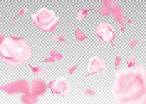 Pinkr ose fallende Blumen und Knospen Vektorhintergrund. 3D romantische Illustration — Stockvektor