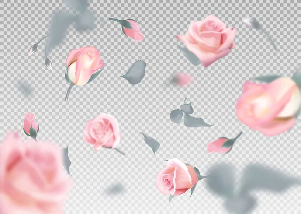 Pinkr ose 떨어지는 꽃과 봉 오리 벡터 배경. 3d 낭만적인 그림 — 스톡 벡터
