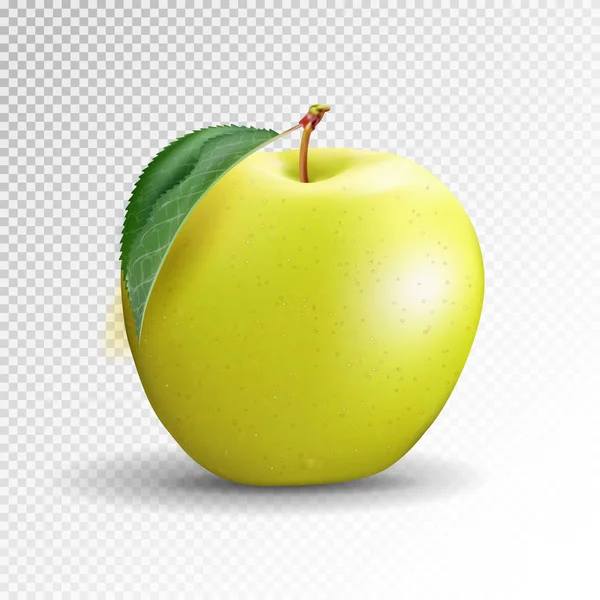Yellow apple isolated on transparent background. Vector, 3D — Stock Vector