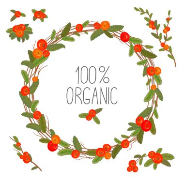 El kırmızı meyveler ve dalları ile çizilmiş çelenk. Yuvarlak çerçeve Noel kartları ve kış tasarım için. Vektör düzeni ile boşaltmak