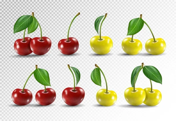 Cherry realistiche icone vettoriali di frutta impostato. Illustrazione vettoriale su sfondo trasparente — Vettoriale Stock