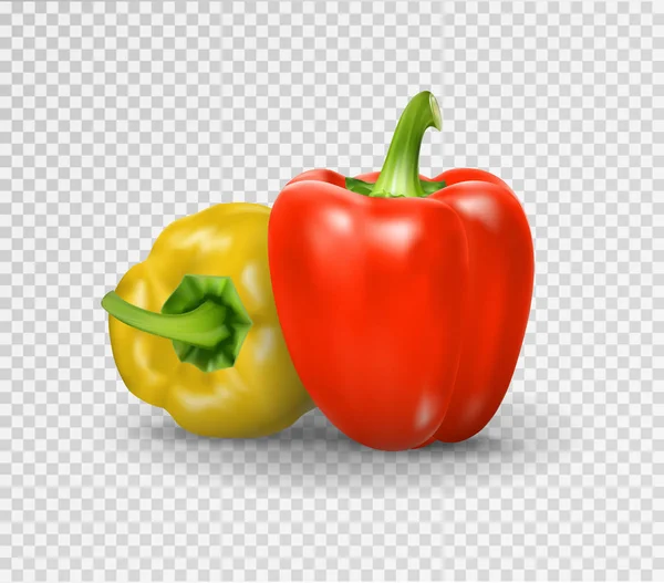 Set of two peppers. Yellow, red pepper. Vector illustration, natural pepper realistic image with shadow for culinary products and recipes illustration — Stock Vector