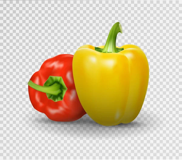 Set van twee pepers. Gele, rode peper. Vectorillustratie, natuurlijke peper realistisch beeld met schaduw voor culinaire producten en recepten illustratie — Stockvector