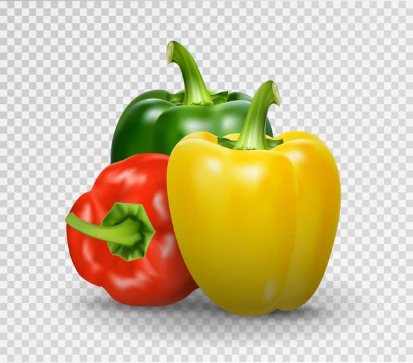 Set of three peppers. Yellow, red and green pepper. Realistic Vector illustration of paprika. — Stock Vector
