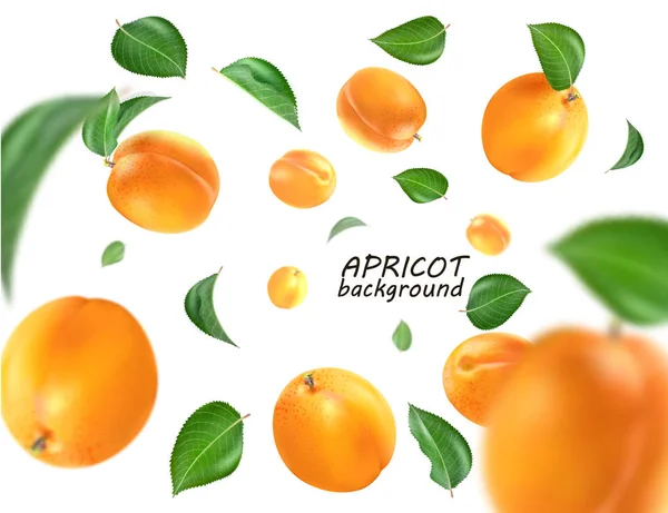 Vliegende abrikoos. Realistische 3d Vector abrikozen achtergrond. — Stockvector