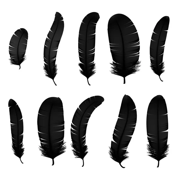 Sada různých černého ptáka peří na průhledném pozadí. Kolekce 3d realistický styl měkké nadýchané makro Labutí ilustrace. Pero pro rukopis — Stock fotografie