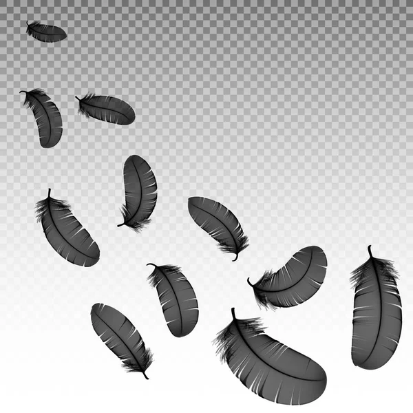 Realistische 3D detaillierte schwarze Schwanenfedern auf transparentem Hintergrund. Vektorillustration. Fallende Federn abstrakte Lichtkomposition — Stockvektor