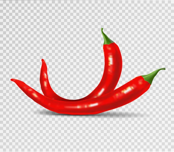 Red hot natural chili pepper pod realistic image with shadow vector illustration. — Stock Vector