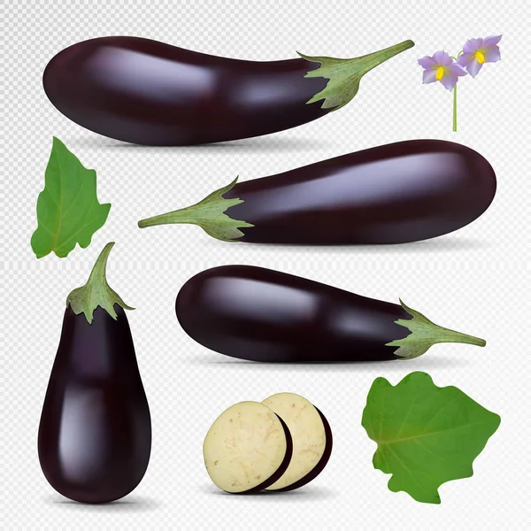 Vector aubergine fraîche isolé sur fond blanc. Ensemble d'aubergines, tranche, fleurs, feuilles. Collection photo-réaliste d'aubergines violettes . — Image vectorielle